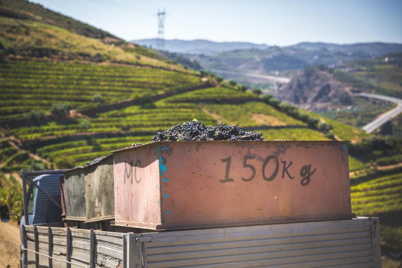 比索达雷加 Quinta Do Valdalagea旅馆 外观 照片