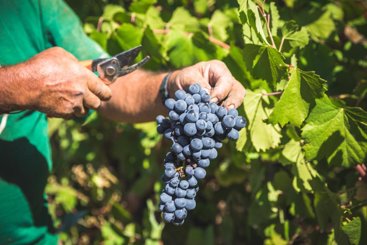 比索达雷加 Quinta Do Valdalagea旅馆 外观 照片
