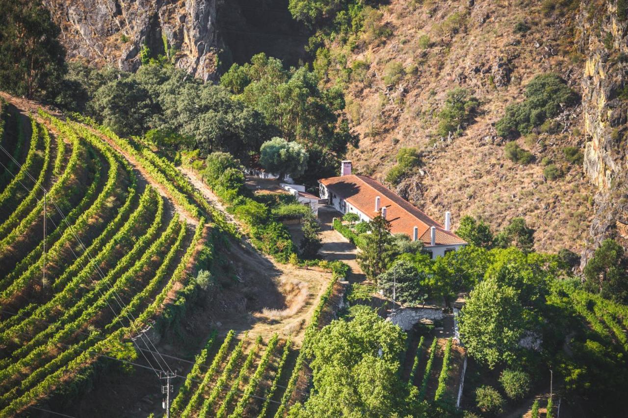 比索达雷加 Quinta Do Valdalagea旅馆 外观 照片
