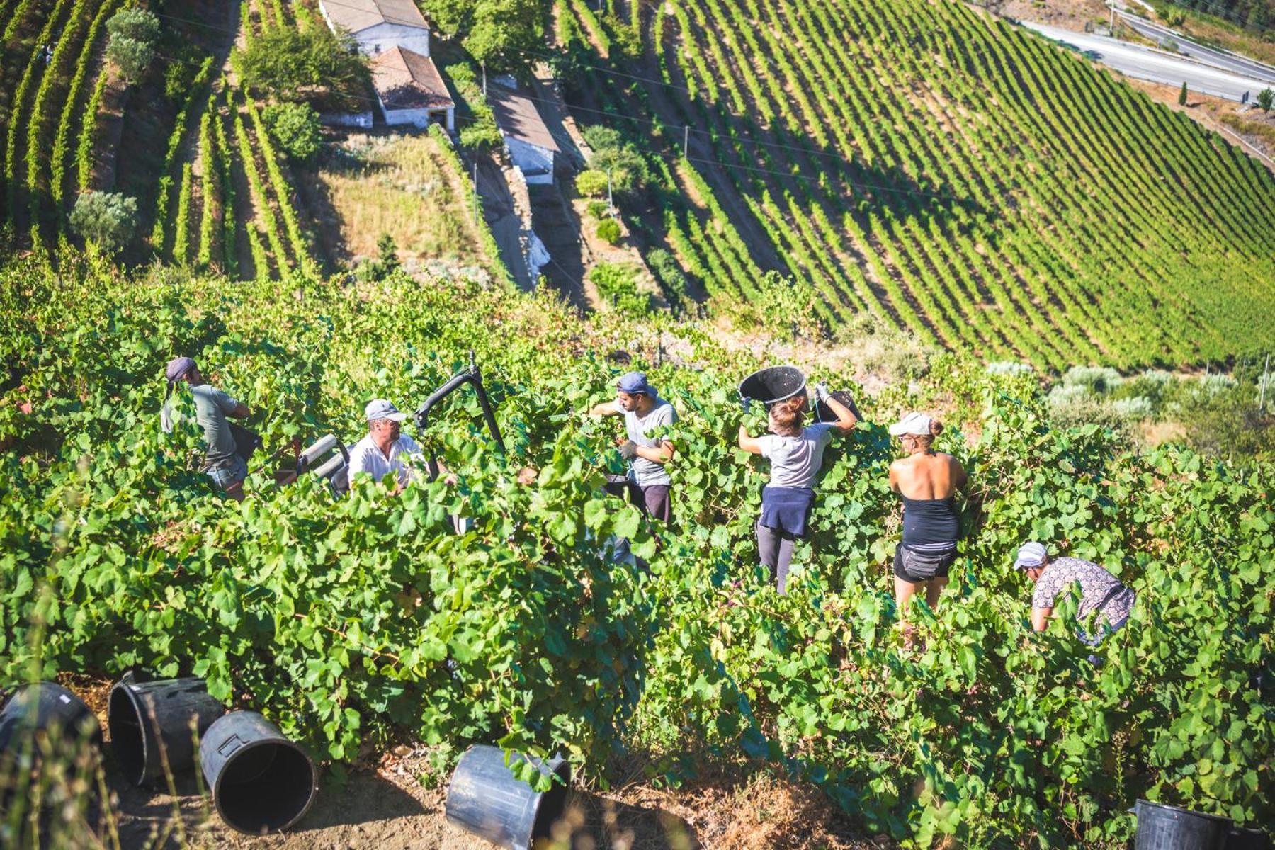比索达雷加 Quinta Do Valdalagea旅馆 外观 照片