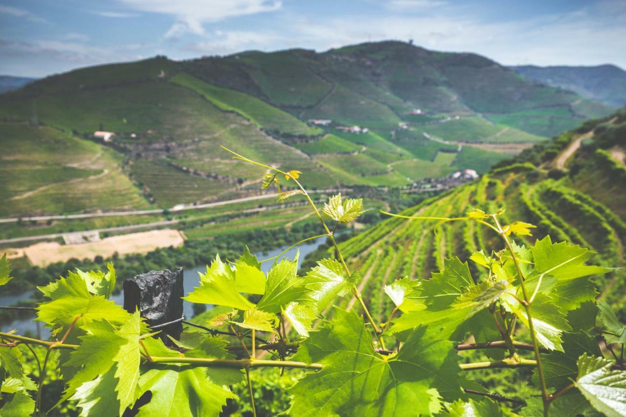 比索达雷加 Quinta Do Valdalagea旅馆 外观 照片