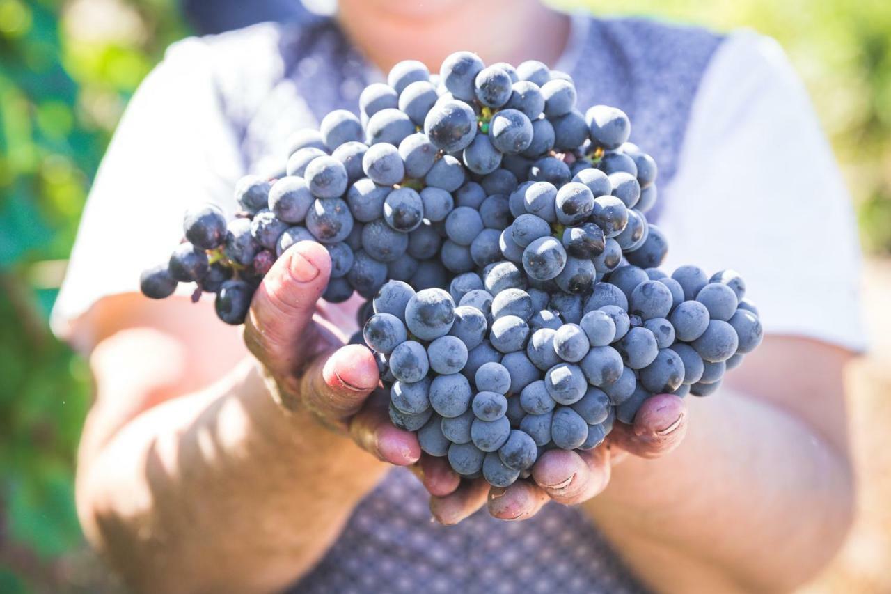 比索达雷加 Quinta Do Valdalagea旅馆 外观 照片