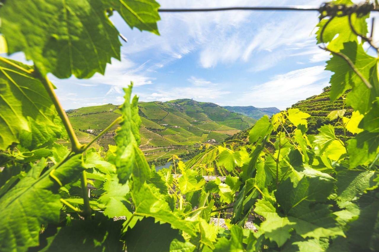 比索达雷加 Quinta Do Valdalagea旅馆 外观 照片