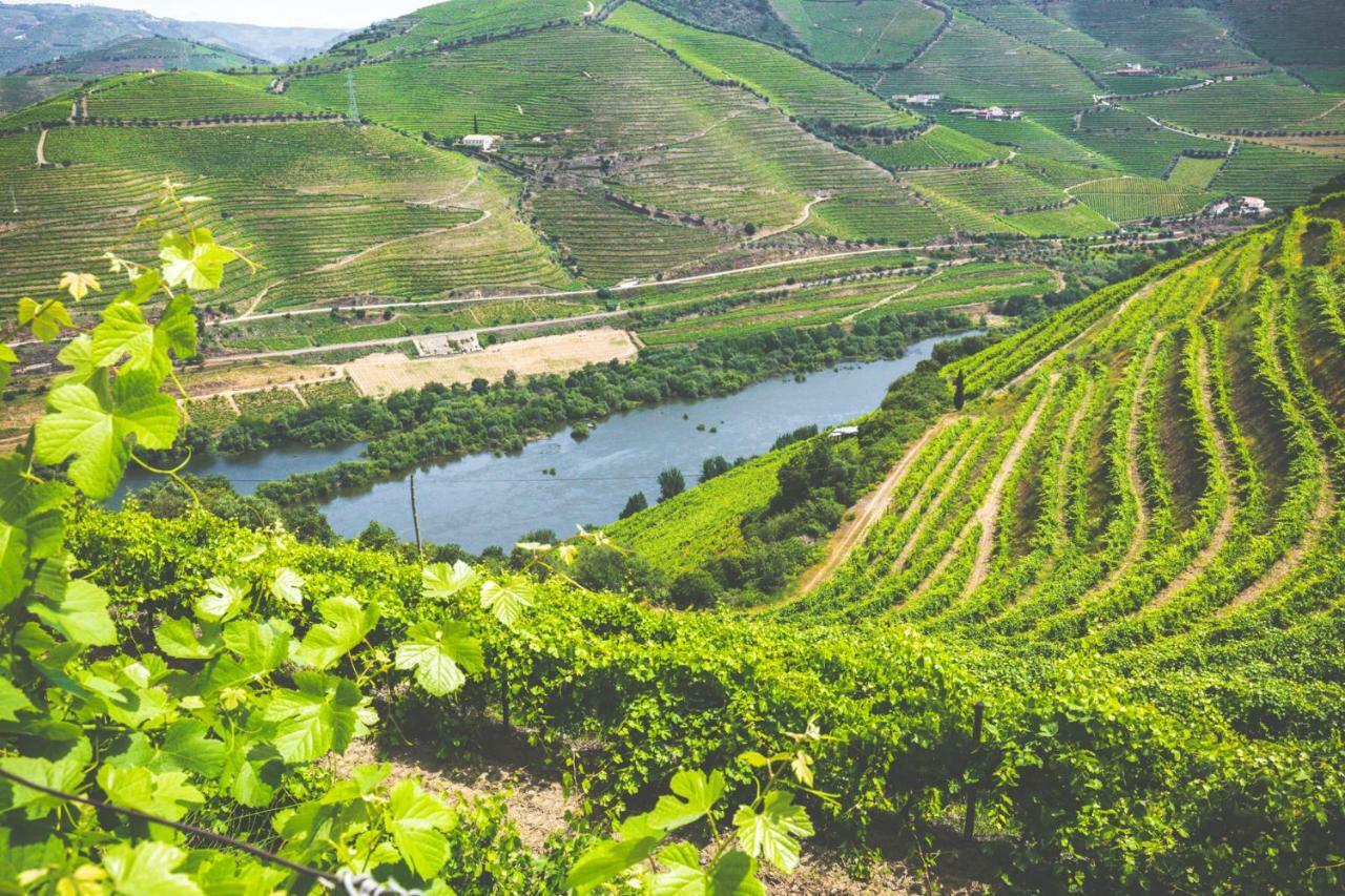 比索达雷加 Quinta Do Valdalagea旅馆 外观 照片