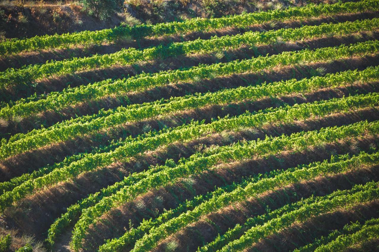 比索达雷加 Quinta Do Valdalagea旅馆 外观 照片