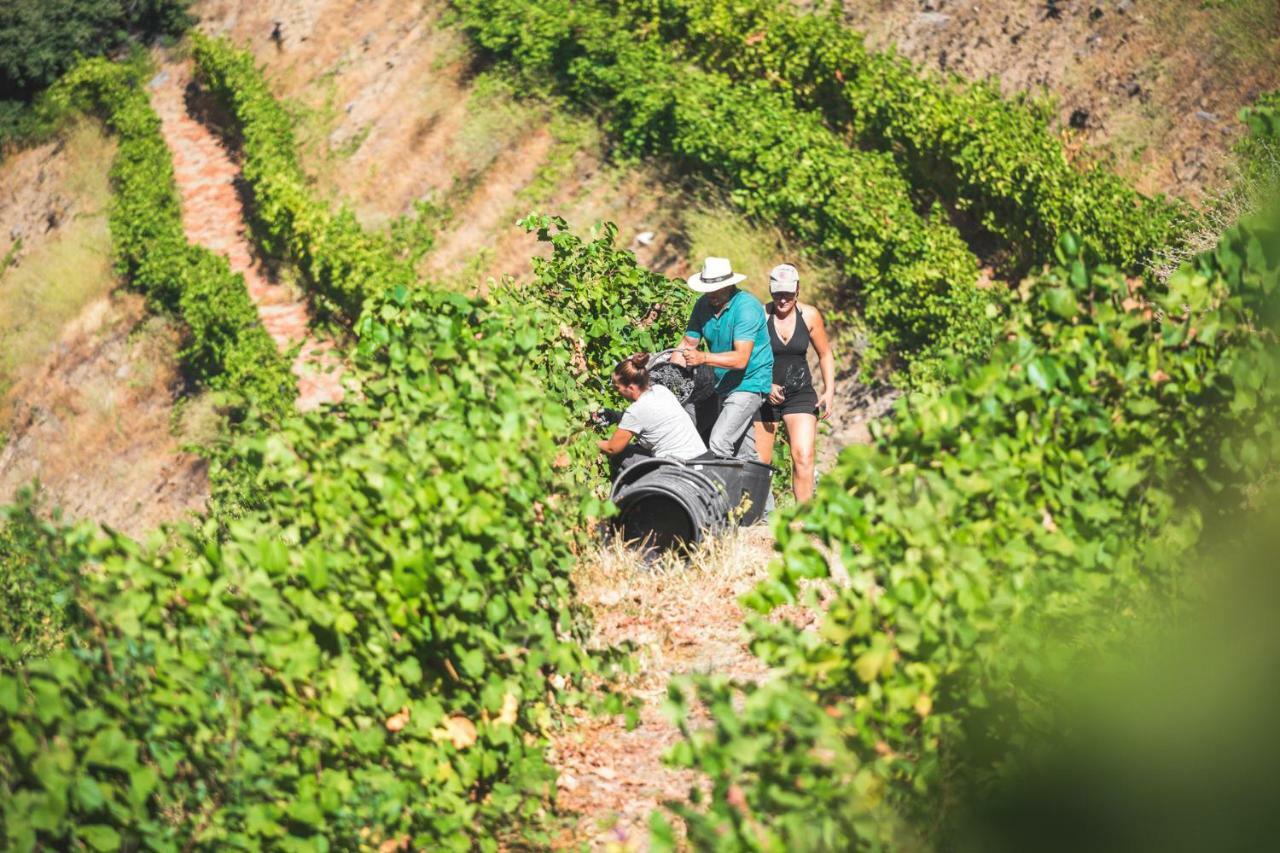 比索达雷加 Quinta Do Valdalagea旅馆 外观 照片