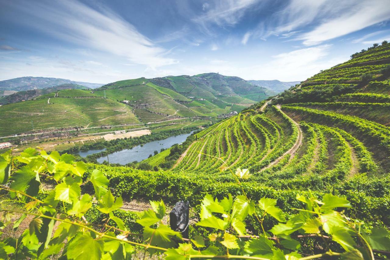 比索达雷加 Quinta Do Valdalagea旅馆 外观 照片