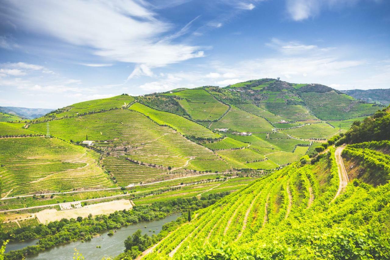 比索达雷加 Quinta Do Valdalagea旅馆 外观 照片