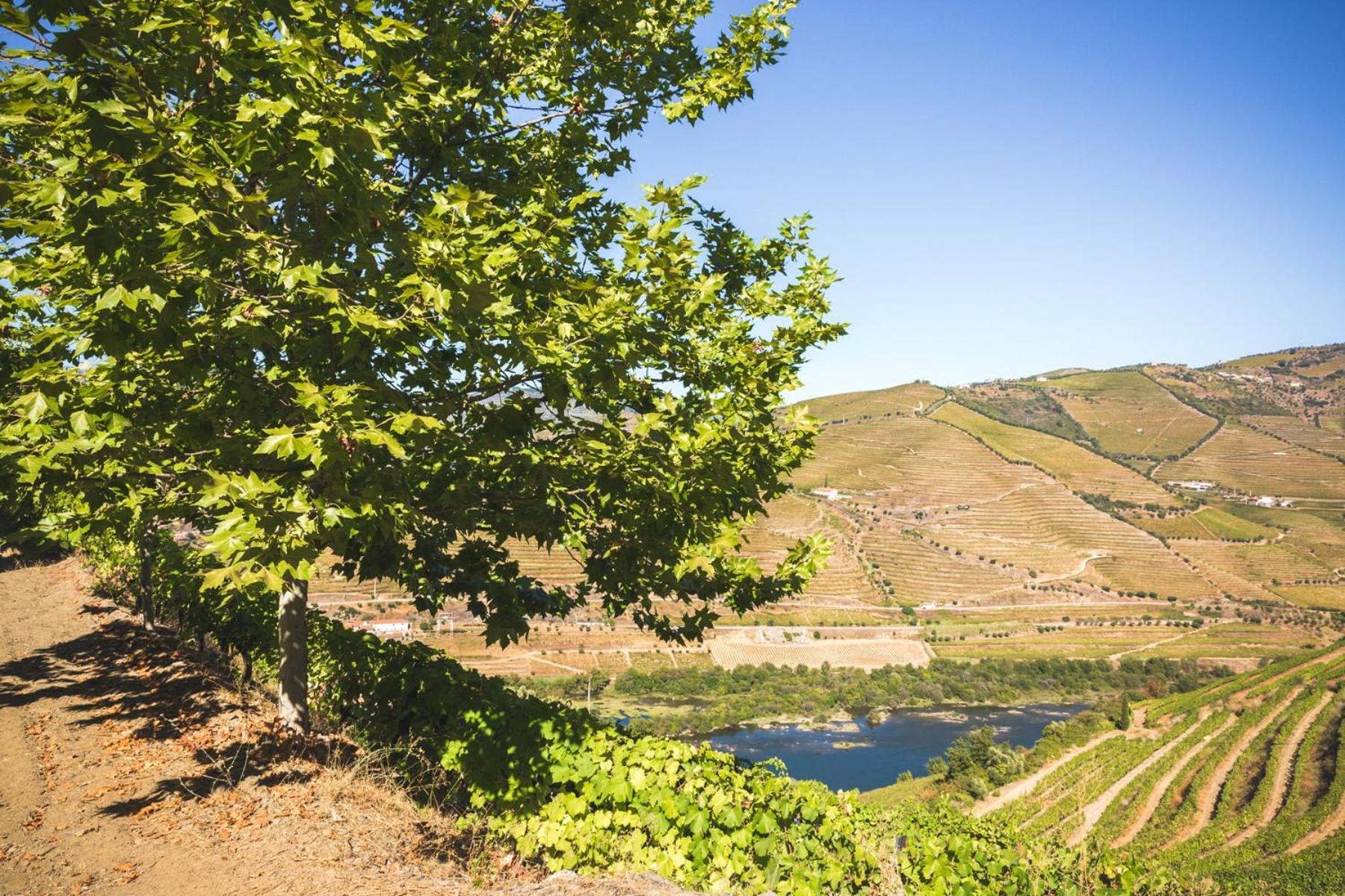 比索达雷加 Quinta Do Valdalagea旅馆 外观 照片